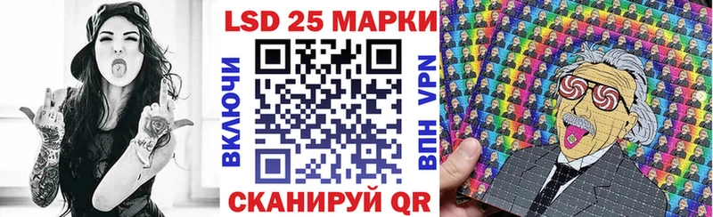 где можно купить   Каменногорск  Марки N-bome 1,5мг 